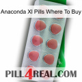 Anaconda Xl Pills Where To Buy 18